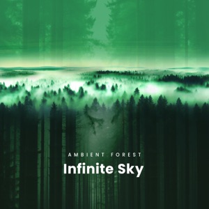 Infinite Sky