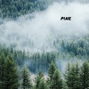 Pine