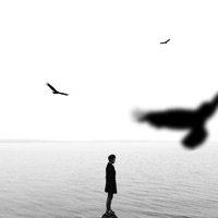 מי אני - Single - Merllog & Shai Sol