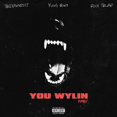 You Wylin (Remix) [feat. Yung Bino & Ricotrap] - Single