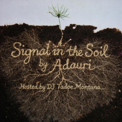 Signal in the Soil - Single