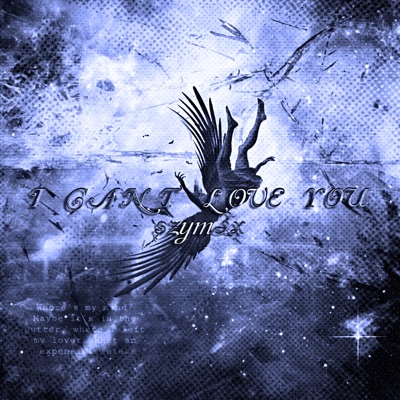 i cant love you - Single