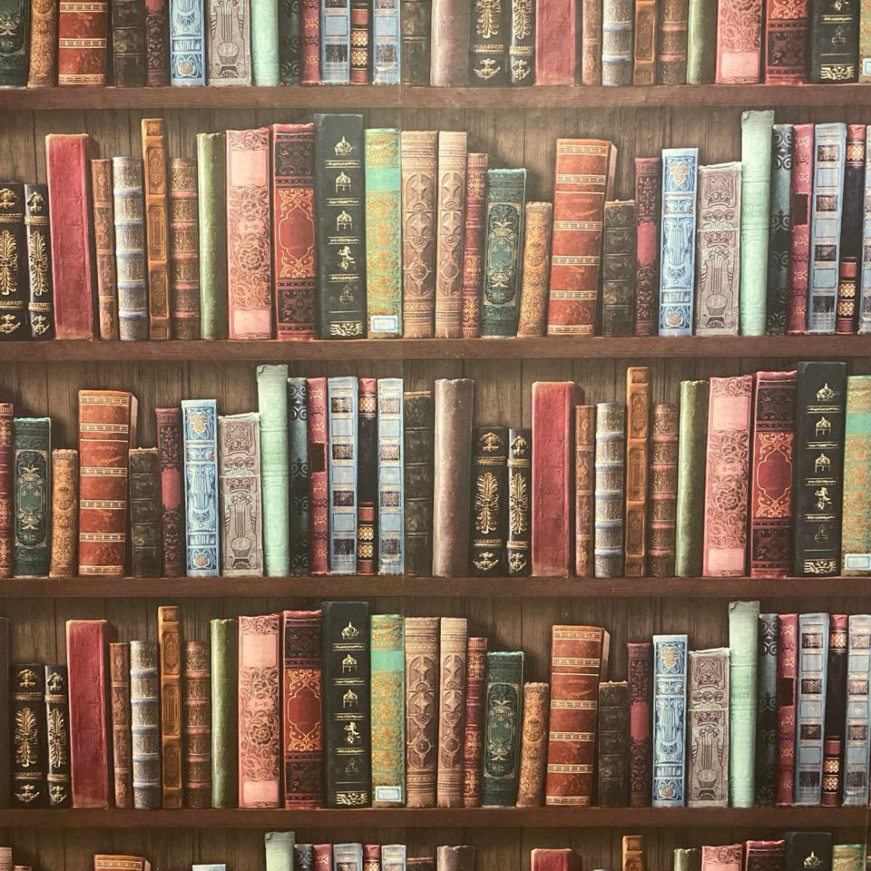 Nur Tapeten - Single