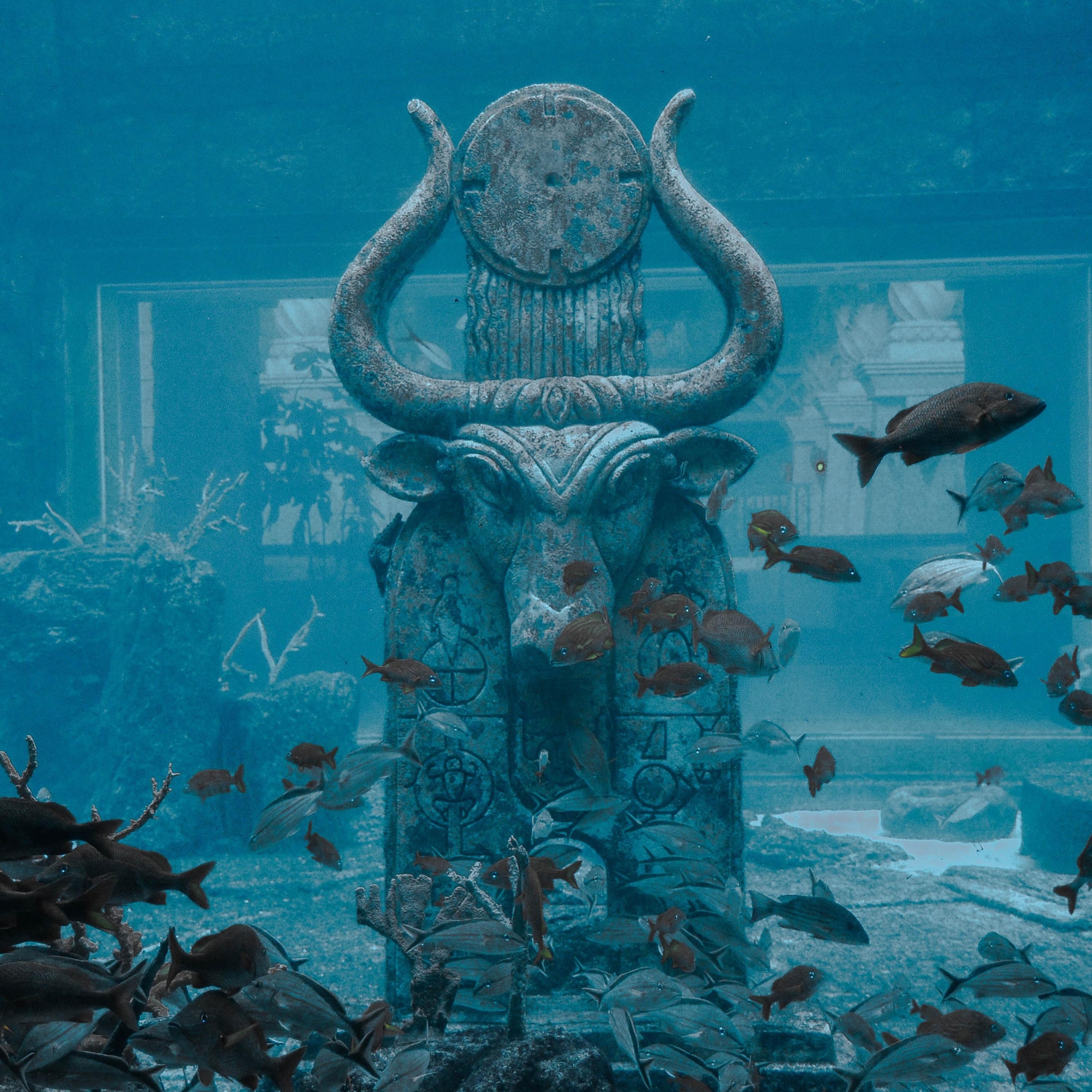 ATLANTIS (AFRO HOUSE) - Single