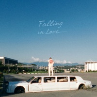 Falling in Love - Single - Markul