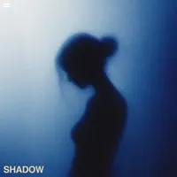 SHADOW — N4C