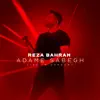 Adame Sabegh