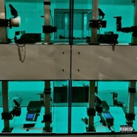 Â Whole Chicken (feat. Serxu) - Single - Tânté