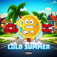 Cold Summer (feat. Big Txp) - Single - Plug Perry