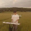 Invata
