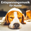 Entspannungsmusik für Hunde - Entspannungsmusik für Haustiere