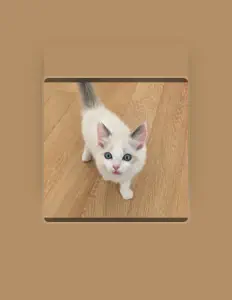 收听 polly、观看音乐视频、阅读小传、查看巡演日期等 ！