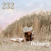232