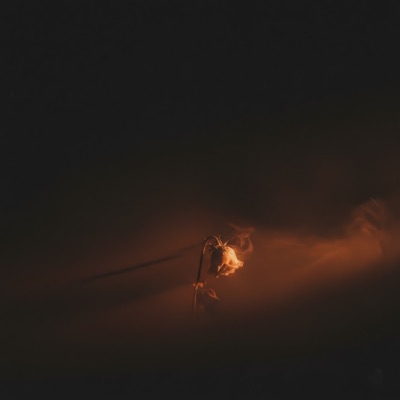 Btsebeny W Asebek (feat. ST3R) - Single