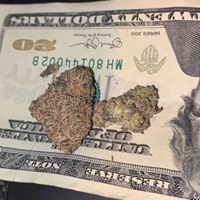 Humo (feat. Yungteo cj danyel pinché Pepe) - Single - Prietukis