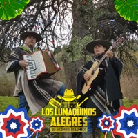 El Ternero - Single - Los Lumaquinos Alegres