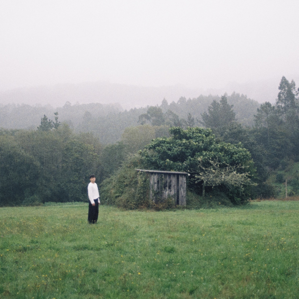 iñigo quintero - El Sitio de Siempre (2025) [iTunes Plus AAC M4A]-新房子