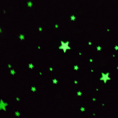 glow stars on my ceiling