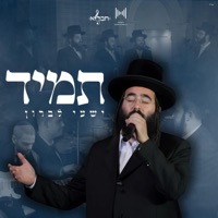 Tumid - Single - Shaya Lebron & Mendy Hershkowitz Band
