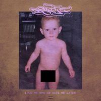 LOVE ME NOW OR HATE ME LATER - Single - Dseize