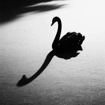 Swan Shadow - Single