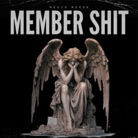 Member Shit - Single - Reece Reese
