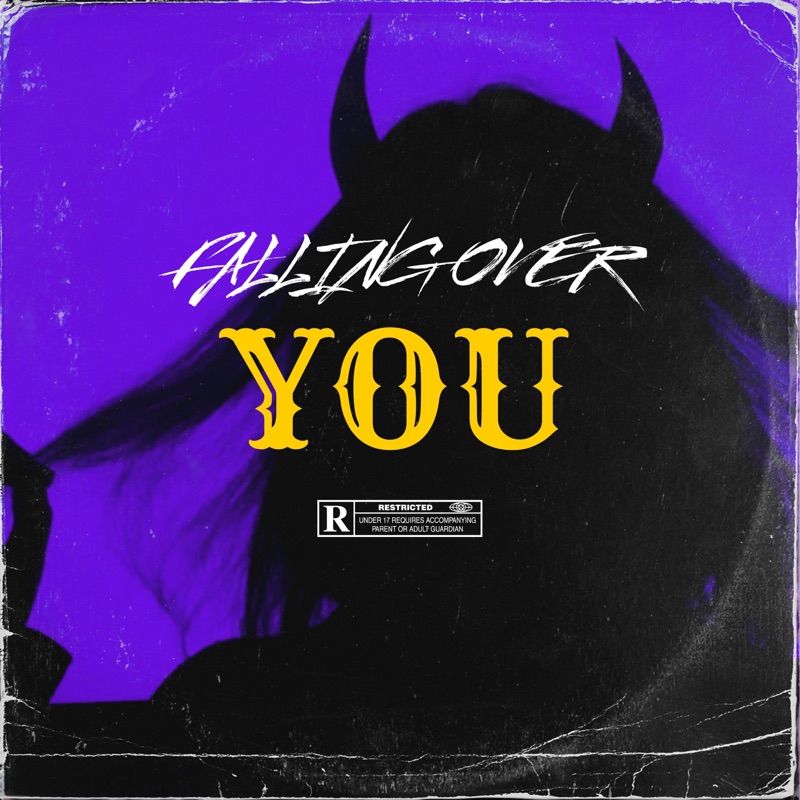 Falling Over You - Single