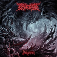 Denigration - Ingested
