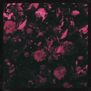 Yearn - Single