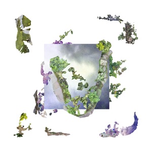 No Pain / Symptom - Single
