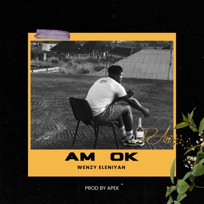 Am Ok - Single