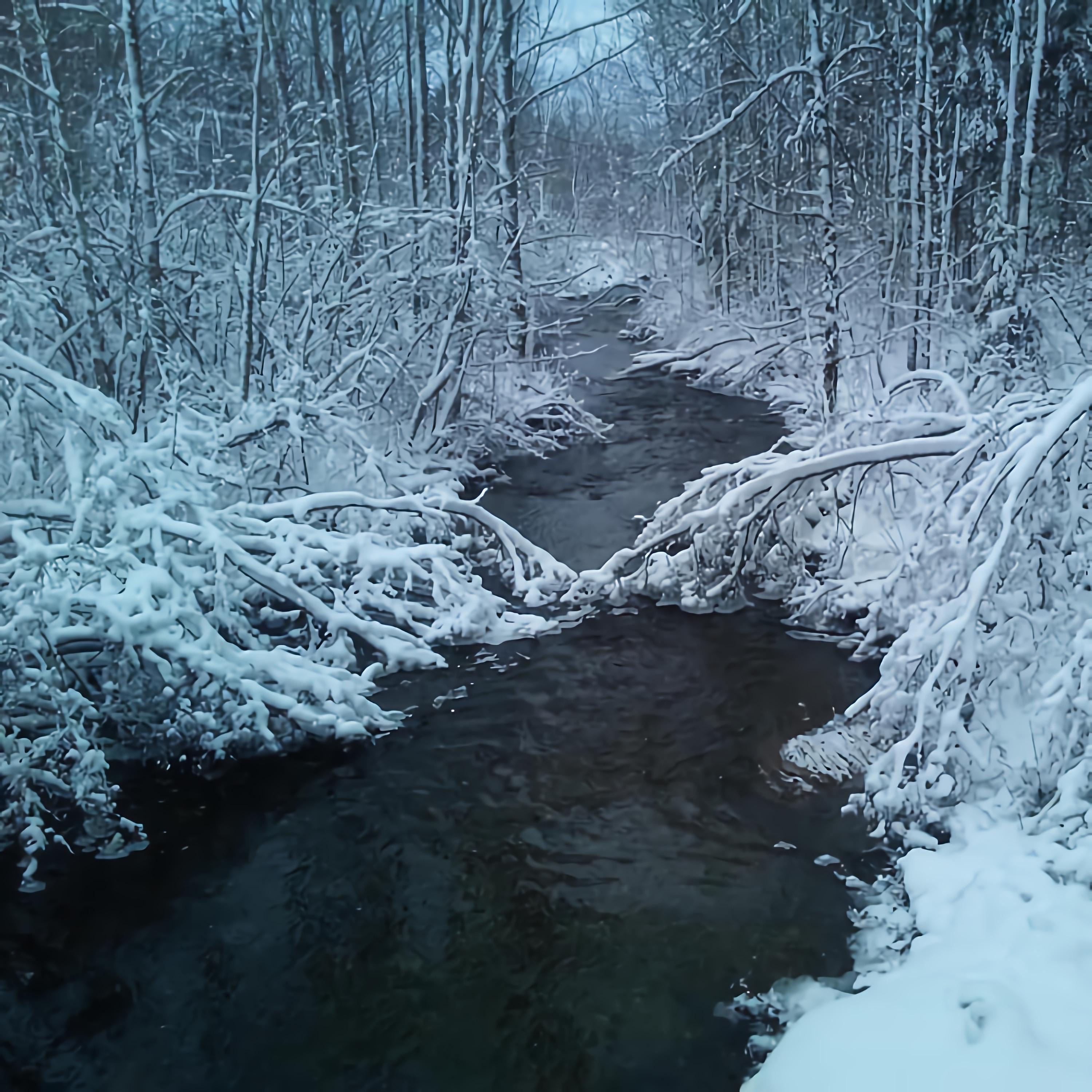 Christmas in the county