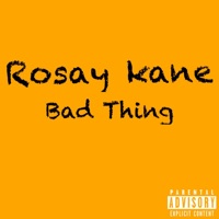Bad Thing - Single - Rosay Rose