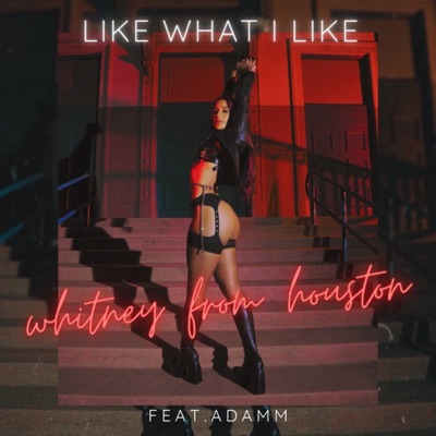 Like What I Like - Single