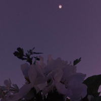 Эмоции - Single - громкаятишина & чеLOVEк