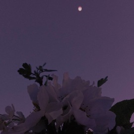 Эмоции громкаятишина & чеLOVEк