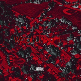 What U Want PSV Hundo