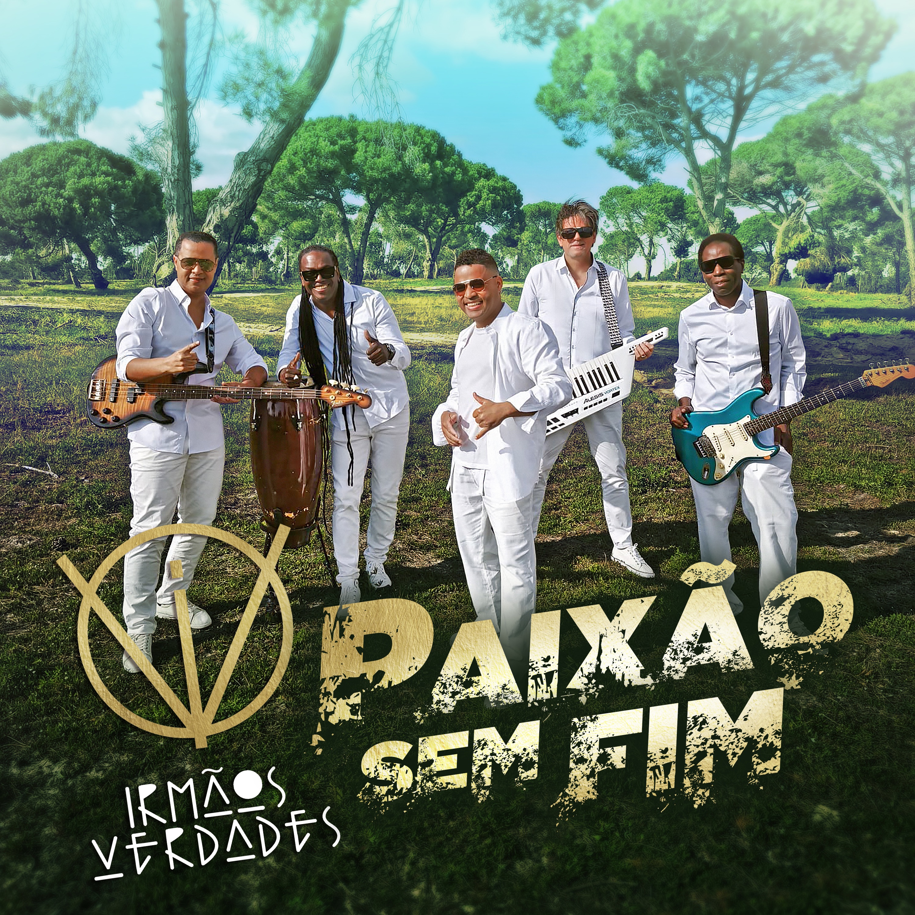 Paixão sem fim - Single