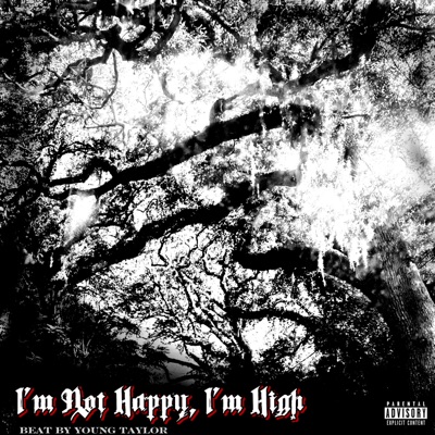 I'm Not Happy, I'm High - Single