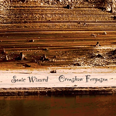 Sonic Wizard - Single