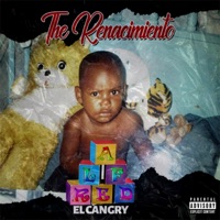 Bajamos Pa La Forty (feat. king Choky38) - Single - AlfredCangry