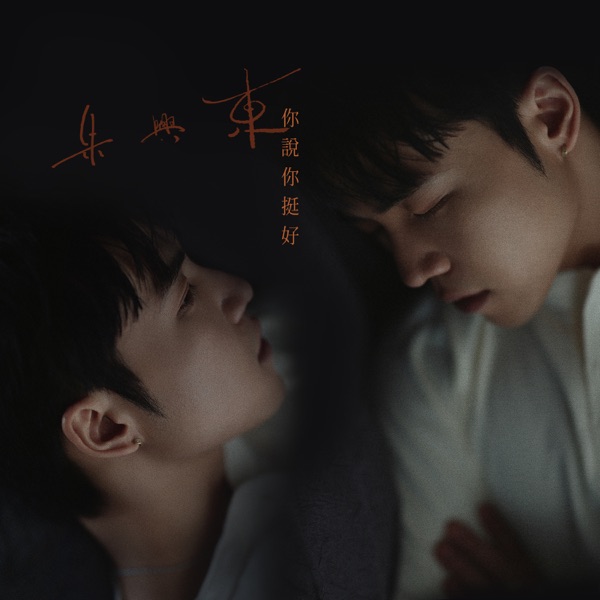 你說你挺好 - Single