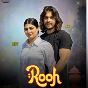 Rooh (feat. Vinay Lamba)