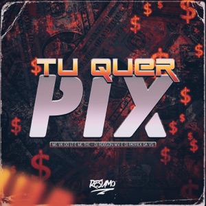 Tu Quer Pix