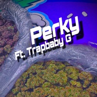 Perky (feat. Trapbaby G) - Single - ExoticKingJay