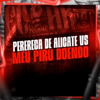 Perereca de Alicate Vs Meu Piru Doendo - Single - MC Digu, MC Bené & DJ PBeats
