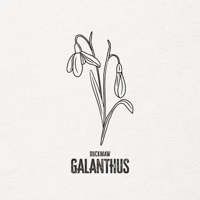 Listen to Galanthus - Single by Duckmaw
