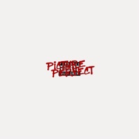 Picture Perfect - Single - lackingluv