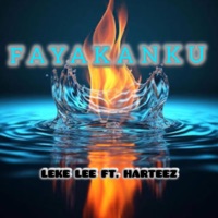 FAYAKANKU (feat. Harteez) - Single - Leke Lee