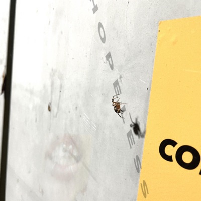 wheresmyhope - Single